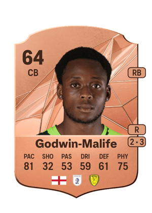 Udoka Godwin-Malife