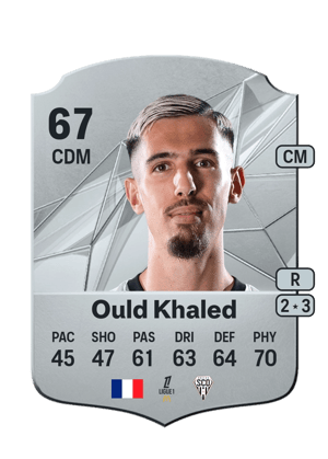 Zinédine Ould Khaled