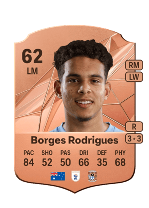 Raphael Borges Rodrigues