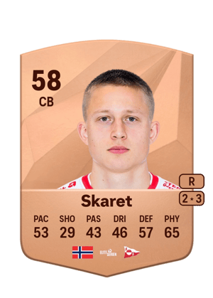 Brage Skaret