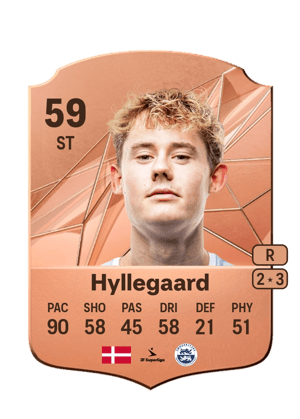 Mikkel Hyllegaard