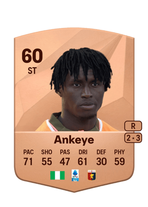 David Ankeye