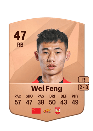 Wei Feng