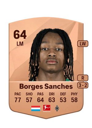 Yvandro Borges Sanches