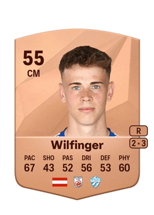 Fabian Wilfinger