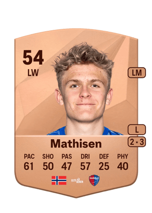 Sebastian Holm Mathisen