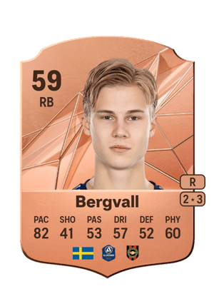 Theo Bergvall