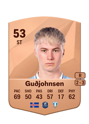 Daníel Tristan Guðjohnsen