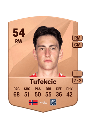 David Tufekcic