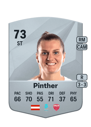 Pinther - 73 - Common