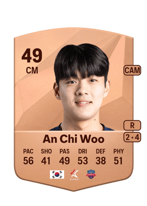 An Chi Woo - 49 - Common