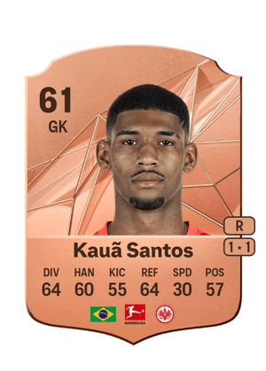 Kauã Santos