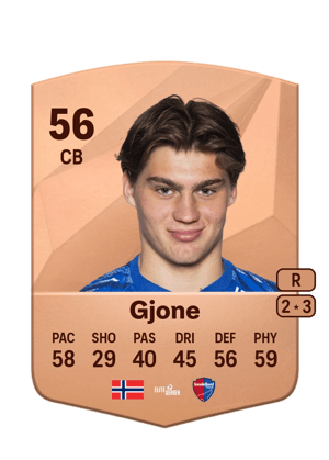 Martin Gjone