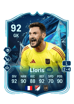 Hugo Lloris