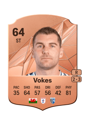 Sam Vokes