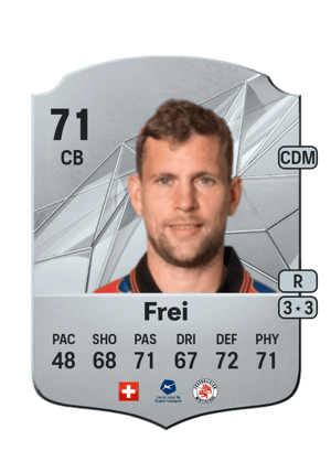Fabian Frei