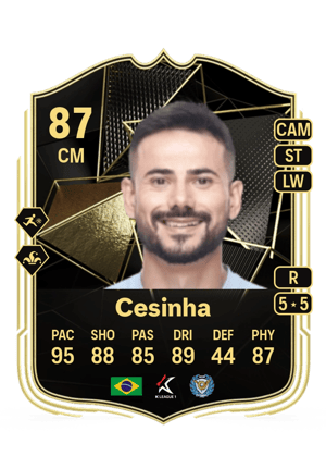 Cesinha