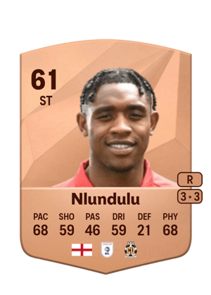 Dan Nlundulu