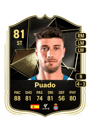 Puado
