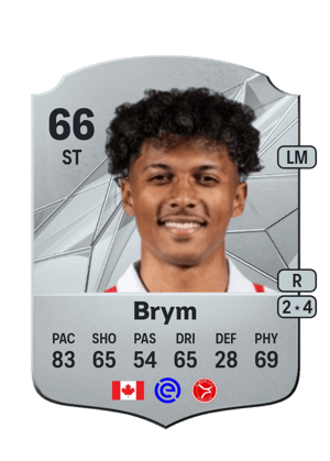 Charles-Andreas Brym