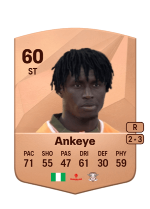 David Ankeye
