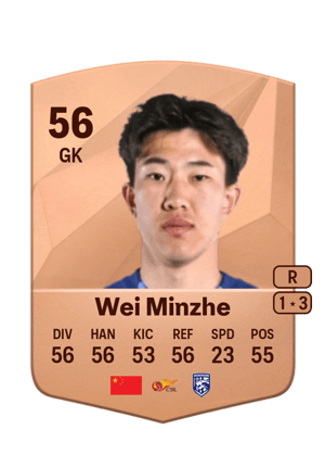 Wei Minzhe
