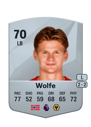 David Møller Wolfe