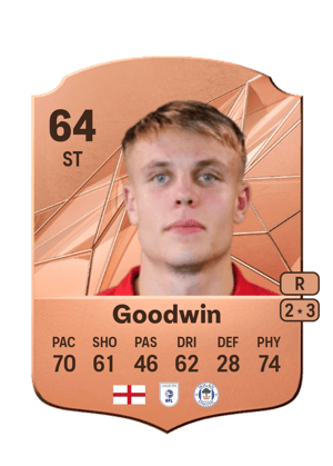 Will Goodwin