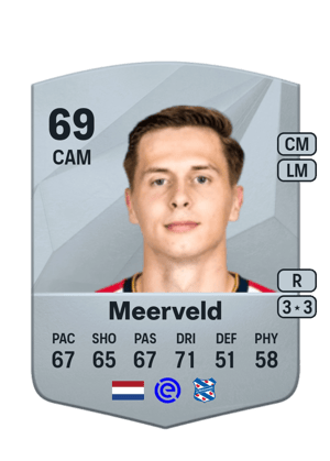Ringo Meerveld