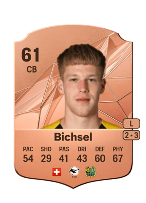 Joel Bichsel