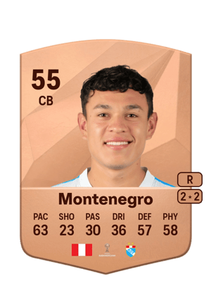 D'Alessandro Montenegro