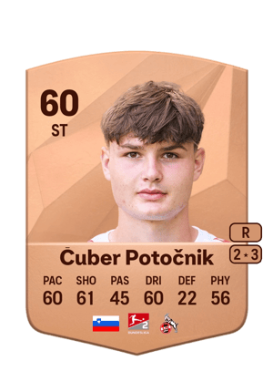 Jaka Čuber Potočnik