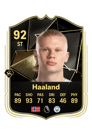 Erling Haaland