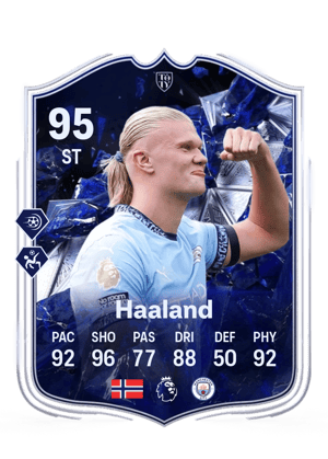Erling Haaland