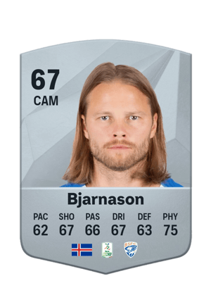 Birkir Bjarnason