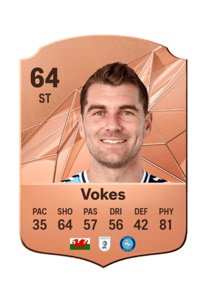 Sam Vokes