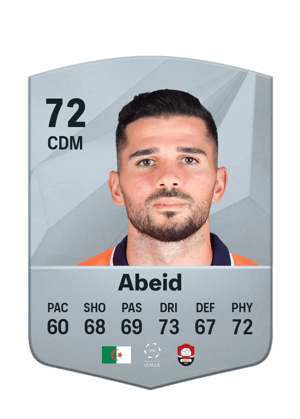 Mehdi Abeid