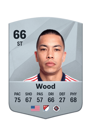Bobby Wood