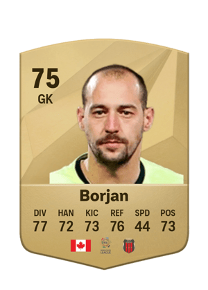 Milan Borjan