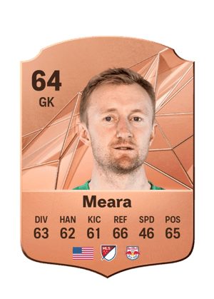 Ryan Meara