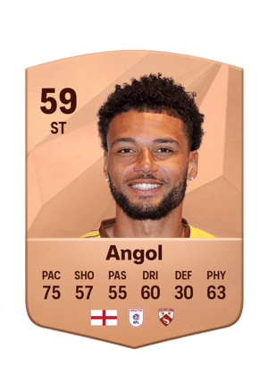 Lee Angol