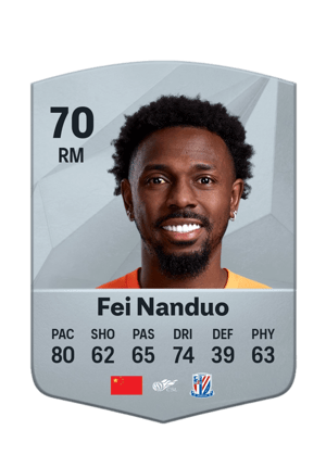 Fei Nanduo