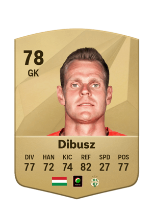Dénes Dibusz