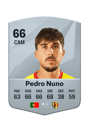 Pedro Nuno