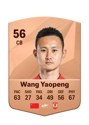 Wang Yaopeng