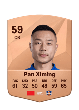 Pan Ximing
