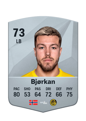 Fredrik Andre Bjørkan