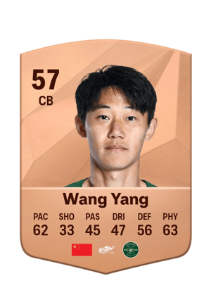 Wang Yang