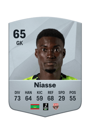 Babacar Niasse
