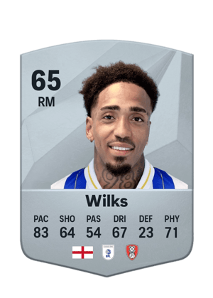 Mallik Wilks